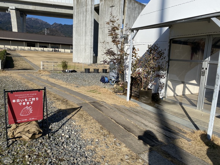 アクアイグニスいちご狩り