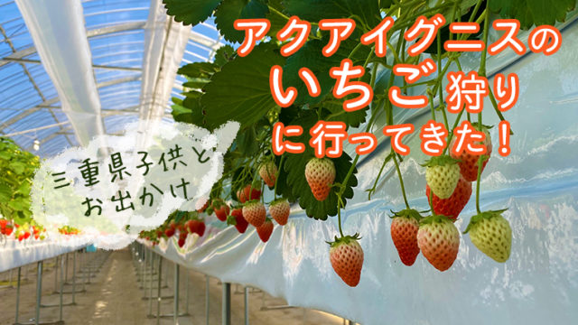 四日市イチゴ狩り アクアイグニスは沢山の品種が一度に楽しめお得感満載 三重県子供とお出かけ情報 のんび りライフ 四日市イチゴ狩り アクアイグニスは沢山の品種が一度に楽しめお得感満載 三重県子供とお出かけ情報 のんび りライフ