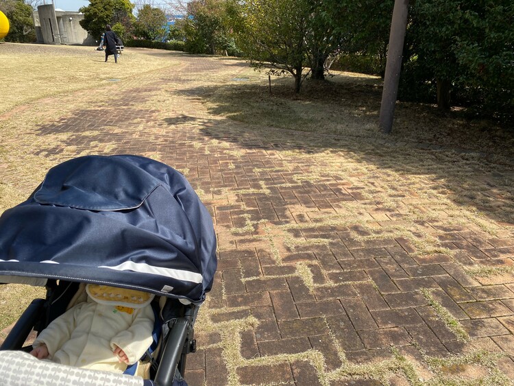 シドニー港公園舗装道路