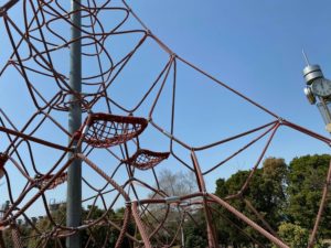 シドニー港公園ジャングルジム