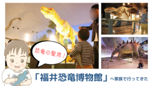 子連れ福井旅行 恐竜博物館周辺のおススメ宿 グルメレポート のんび りライフ 子連れ福井旅行 恐竜博物館周辺のおススメ宿 グルメレポート のんび りライフ