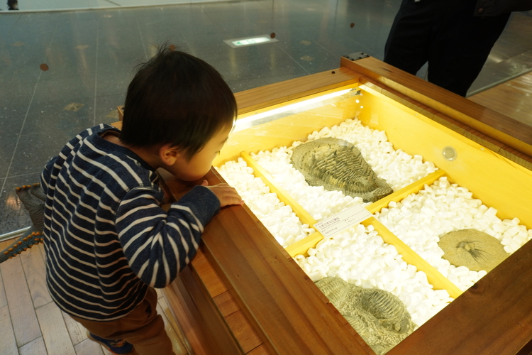 恐竜の聖地、福井県立恐竜博物館