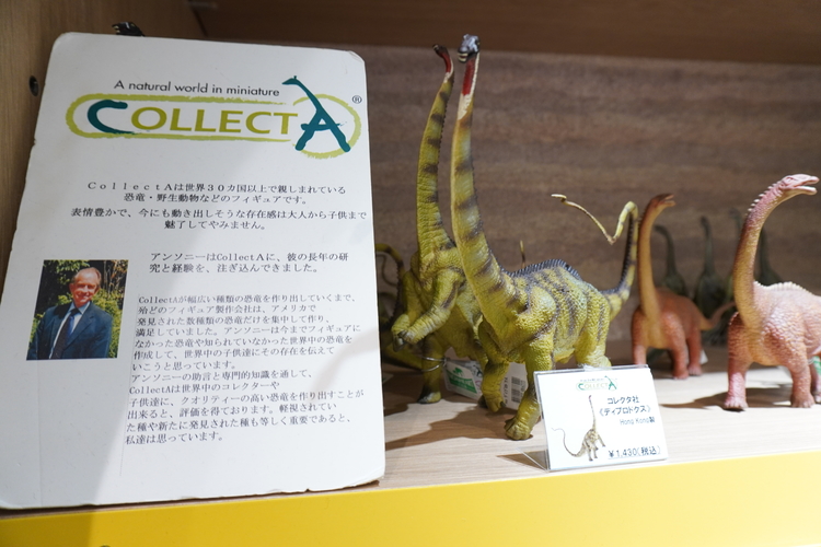 恐竜の聖地、福井県立恐竜博物館