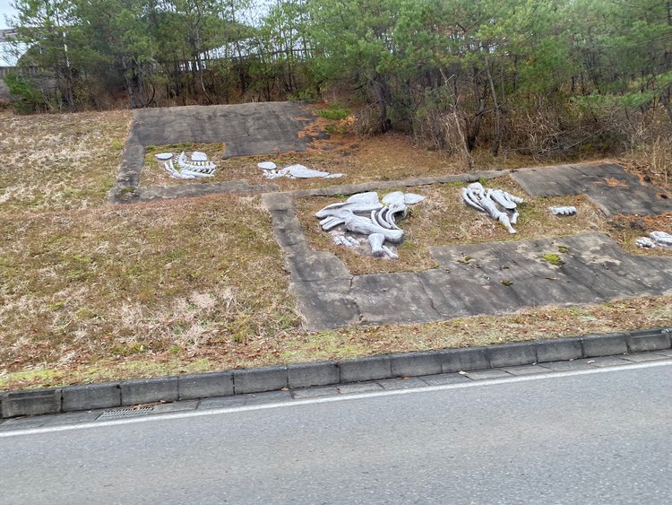 恐竜の聖地、福井県立恐竜博物館