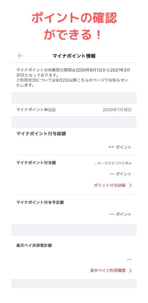 楽天ペイマイナポイント