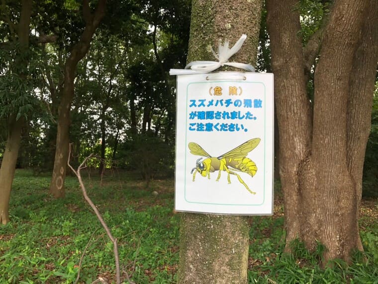 中央緑地公園のスズメバチ張り紙