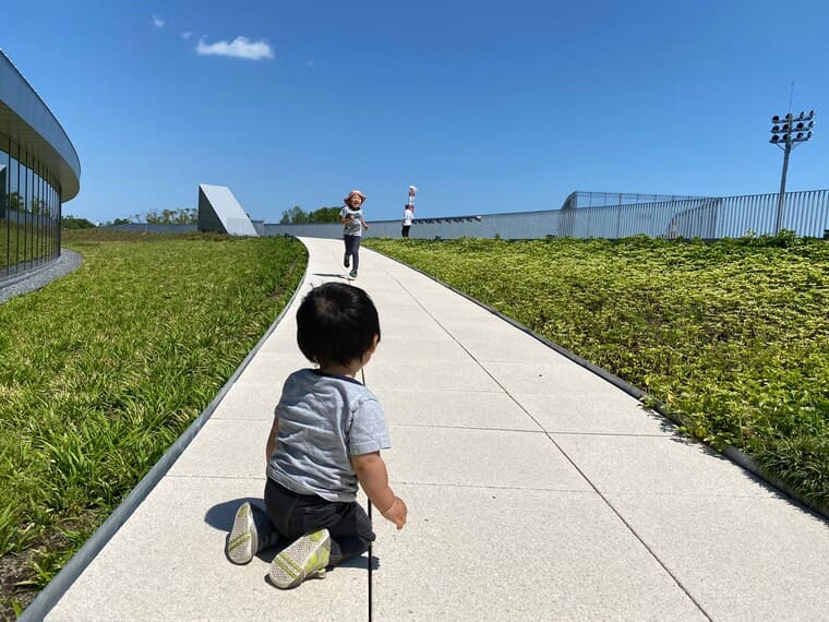 中央緑地公園の体育館屋上